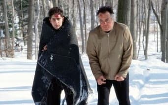 Pine Barrens