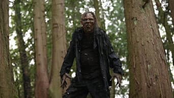 Forest of the Damned