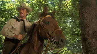 Manhattan Manhunt (1) (or Horse Stealing on Fifth Avenue)