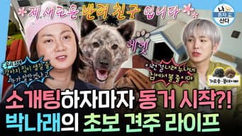 Episode 623