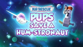 Air Rescue: Pups Stop the Mid-Air Magnet