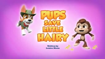 Pups Save Little Hairy