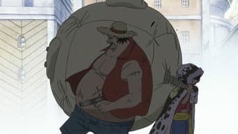 The Beginning of The New Chapter! The Straw Hats Reunited!