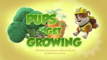 Pups Get Growing