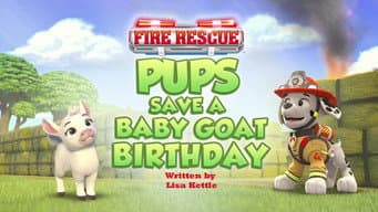 Fire Rescue: Pups Save a Baby Goat Birthday