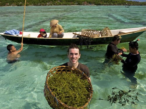 Indonesia to Australia