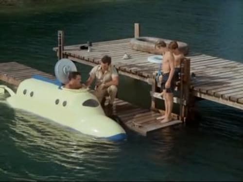 SOS Dolphin